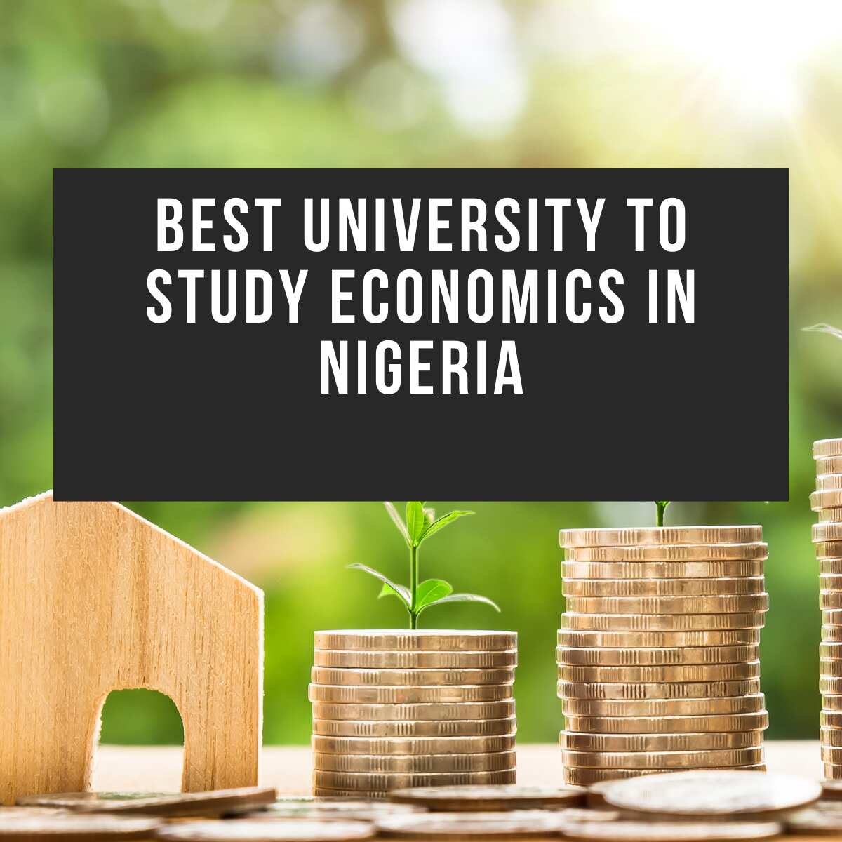 best-state-university-to-study-economics-in-nigeria-study-poster