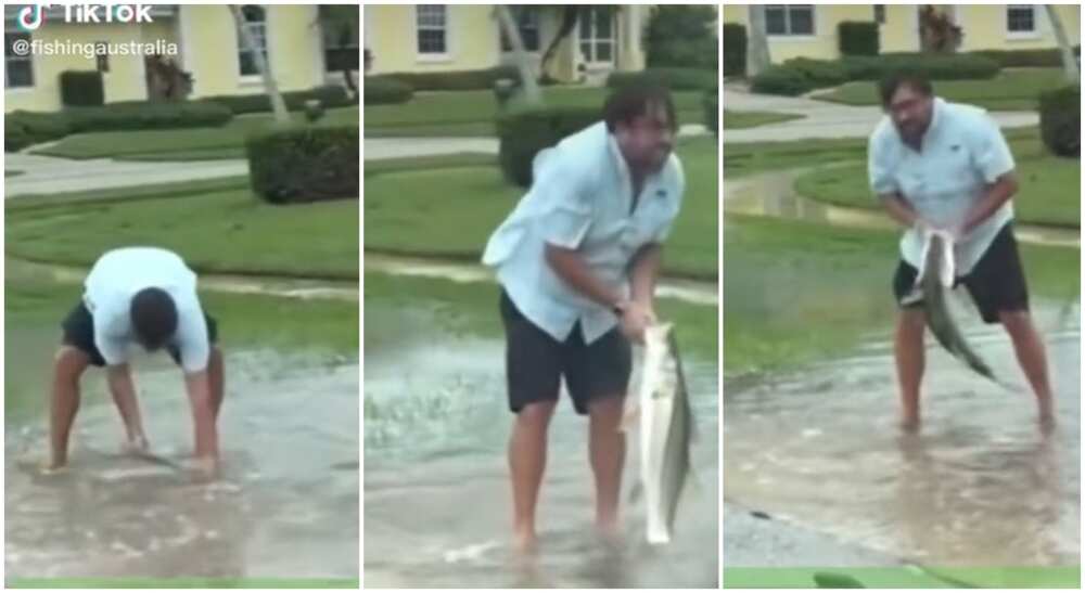 Photos shows a man who caught fish in the streets of Florida.
