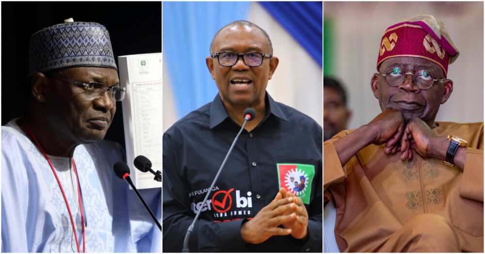 2023 elections, Bola Tinubu, Peter Obi, INEC, Labour Party, APC