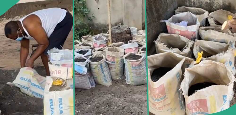 Man uses empty Dangote Cement bags to farm.
