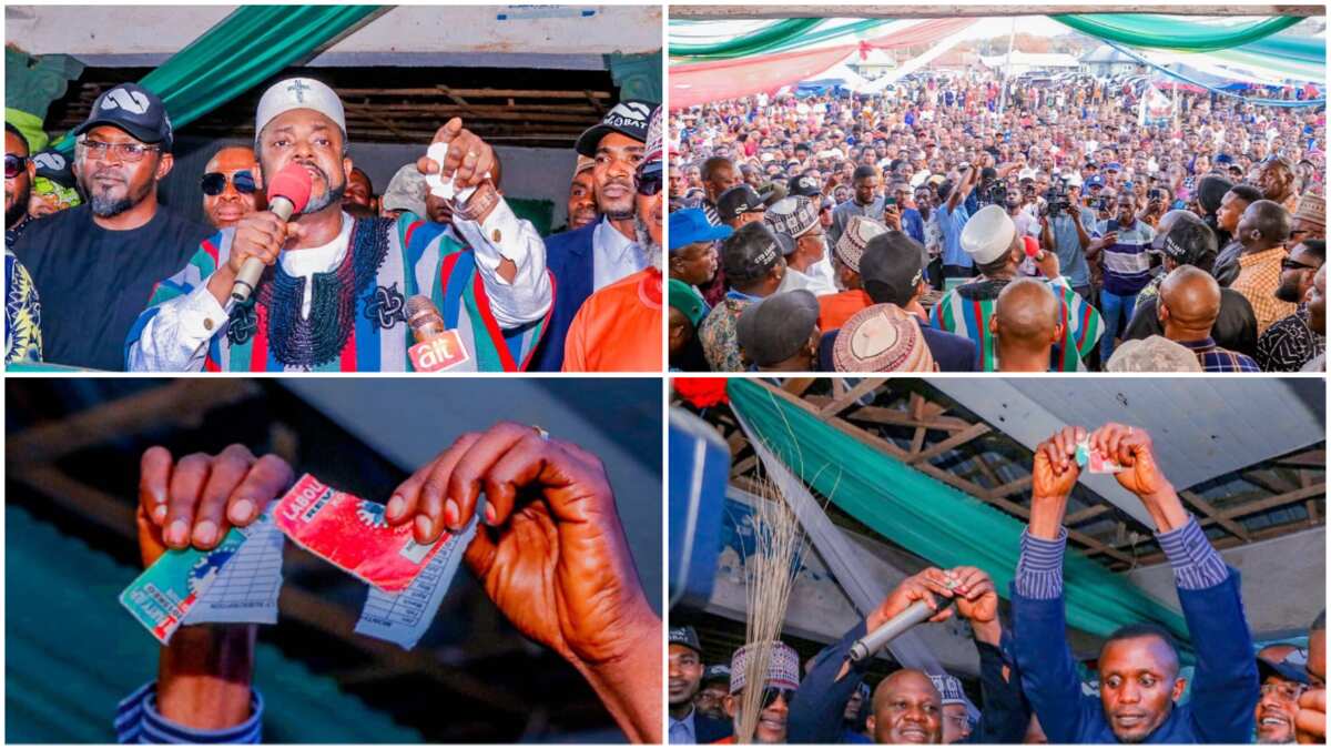 2023 presidency: Trouble for Peter Obi as Labour Party leader in northern state defects to APC, tears membership card (photos)