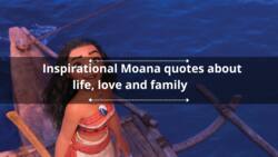 35 inspirational Moana quotes about life, love and family