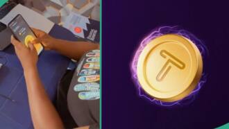 Tapswap: Crypto skilled mentions attention-grabbing issues persons are but to grasp - Coin Trolly 1 7733b6ba4654daa1