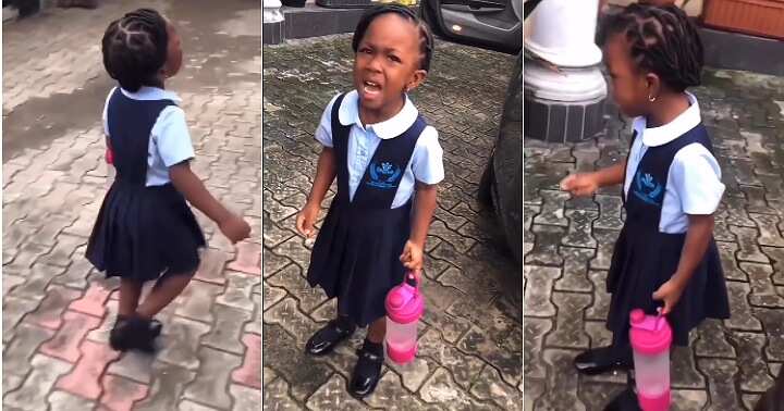 Little girl kills snail, apologizes to snail, emotional