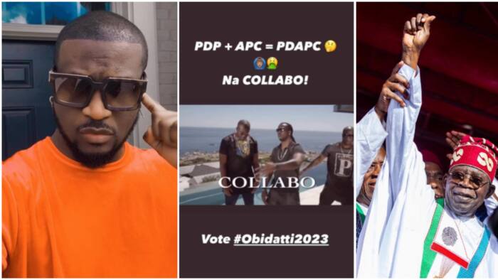 “Na collabo”: Peter PSquare taunts Tinubu over viral ‘PD-APC’ blunder, stirs mixed reactions from Nigerians