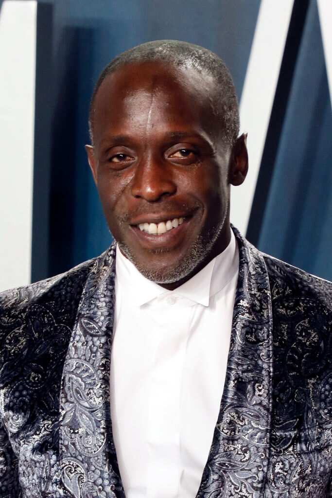 Michael K Williams Bio Scar Wife Net Worth Lovecraft Country Legit Ng