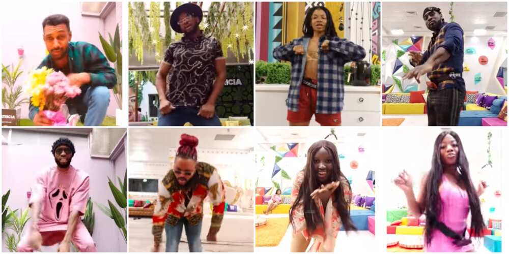 Housemates dance to viral songs Housemates dance to viral songs