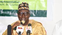 Sama Da N200bn Muka Kashe a Ƙidayar Da Aka Ɗage, Cewar Shugaban Hukumar Ƙidaya Ta Ƙasa