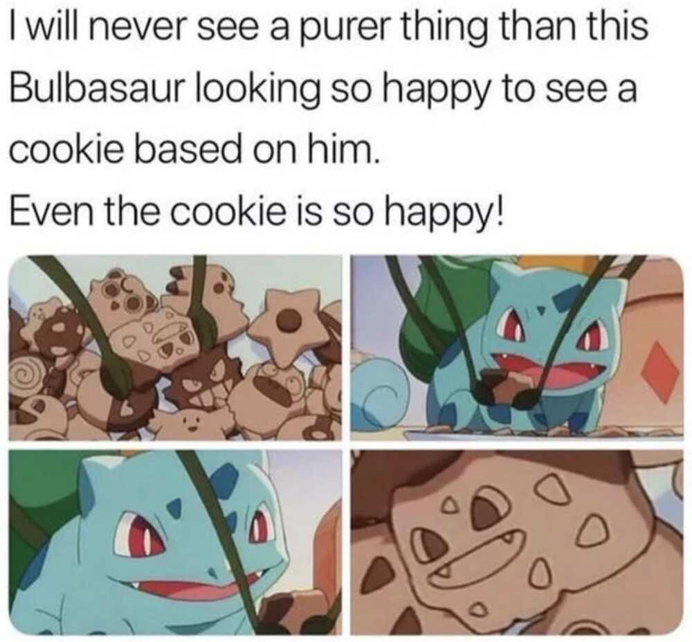 Funny Pokemon memes