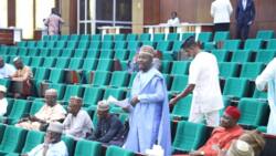 APC House of Reps member releases breakdown of his salary, allowances, severance package