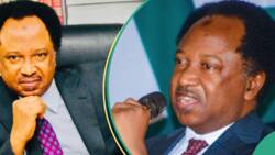 Shehu Sani Ya Fayyace Yadda 'Yan Siyasa Ke Salwantar Da Shekaru 4 A Mulki, Ya Yi Bayani Dalla-dalla