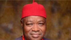 Is there any faction in Ohaneze Ndigbo Lagos chapter? Chief Ossai finally reveals the truth