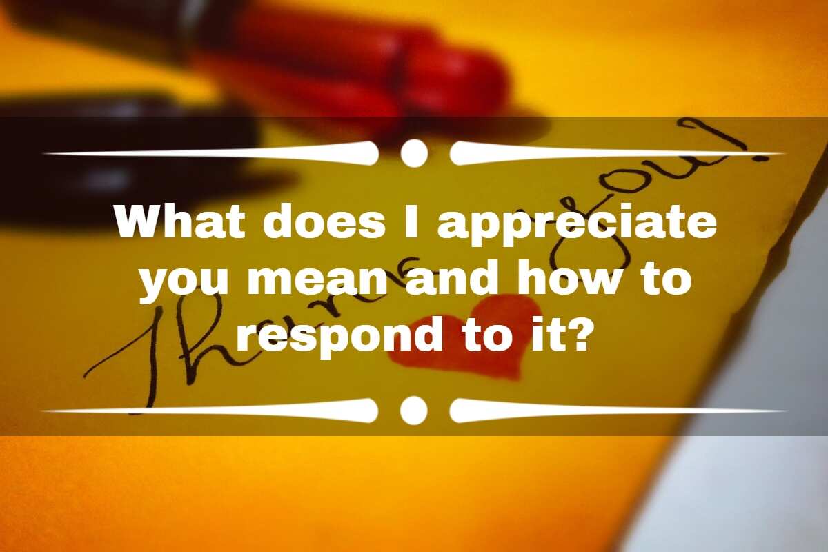 How To Say I Appreciate It In Arabic