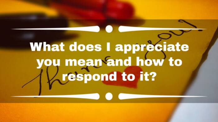 What does 'I appreciate you' mean and how to respond to it?