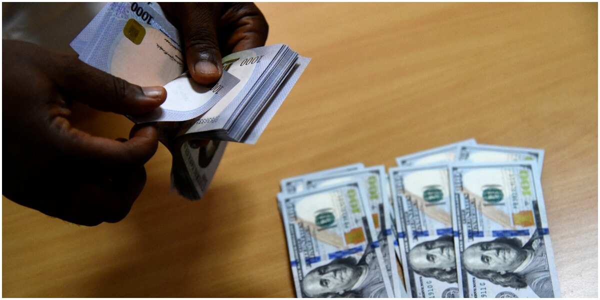 dollar-to-naira-convert-usd-to-ngn-using-current-exchange-rate