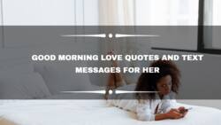 225+ good morning love quotes and text messages for her