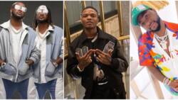 Reconciliation season: Davido, Wizkid, other music stars who have buried the hatchet in recent times