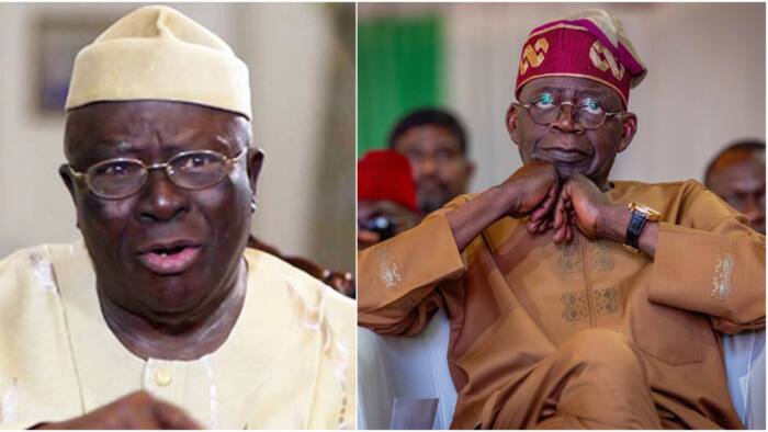 ‘Tinubu did not defeat Peter Obi,’ Afenifere leader Pa Adebanjo gives insight on 2023 presidential election