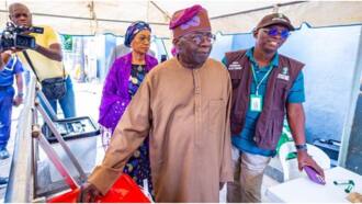 2023 Guber Elections: PDP, APC, LP Bigwigs Who Won, Lost in Their Polling Units 7 787e09e10c59f87f