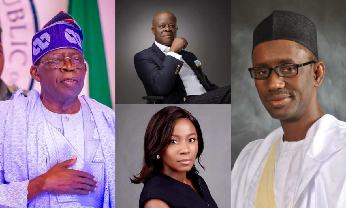 Full List Of President Tinubu's Newly Appointed Special Advisers - Legit.ng