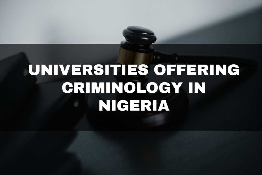 Universities offering Criminology