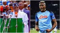 "The real deal, or idán gangan": Tinubu paints Victor Osimhen with colourful words