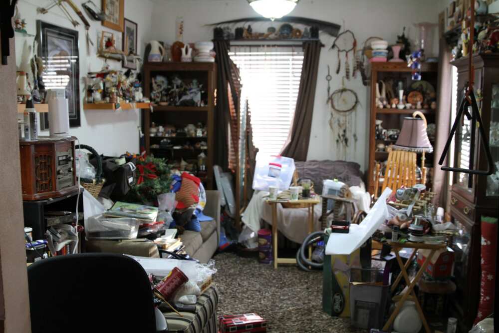 33 best Hoarders episodes to add to your watchlist - Legit.ng