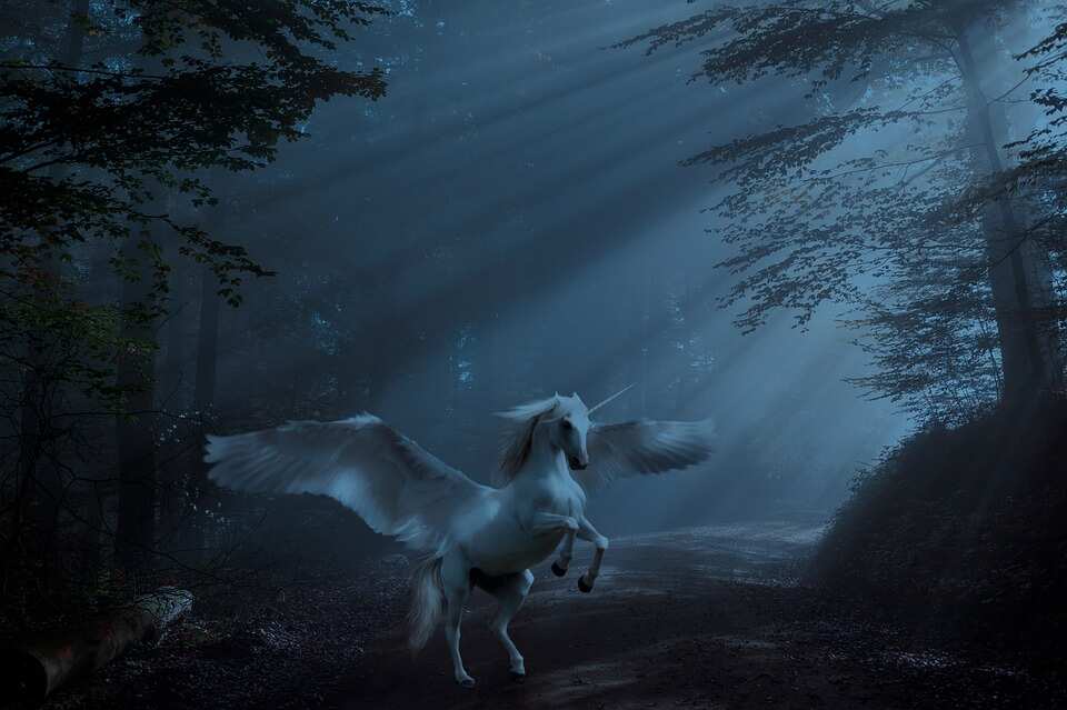 funny unicorn names funny unicorn names