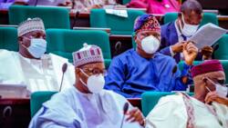 After Legit.ng report lawmakers begins probe passport racketeering, demand for money by officers