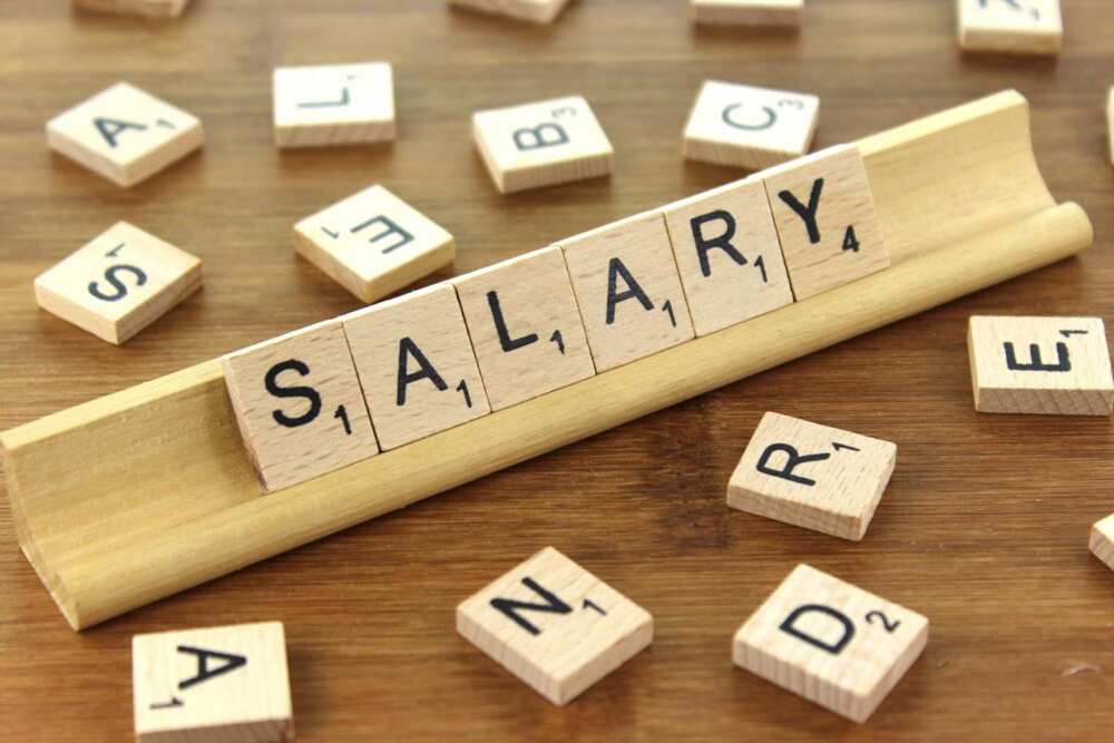 Senator salary and benefits in Nigeria
