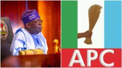 Revealed: President Tinubu to adopt Buhari's style in unveiling his ministers