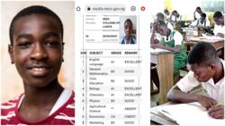 2023 NECO result: Smart boy gets A1's in English and biology after scoring 282 in JAMB, rejoices