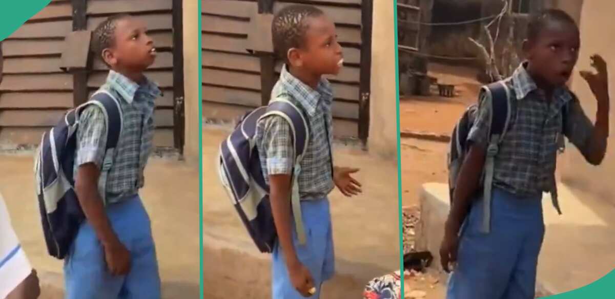 Video: See what this schoolboy did during a confrontation with a girl