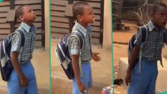 "Stand Up For Yourself": Schoolboy Rejects Fear, Stands Firmly in Confrontation With Older Girl