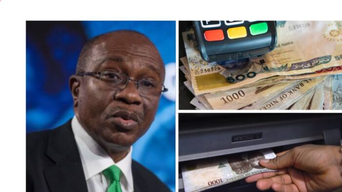 How banks, telcos, fintechs will benefit from new CBN cash withdrawal limit policy, experts speak