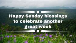 73 happy Sunday blessings to celebrate another great week