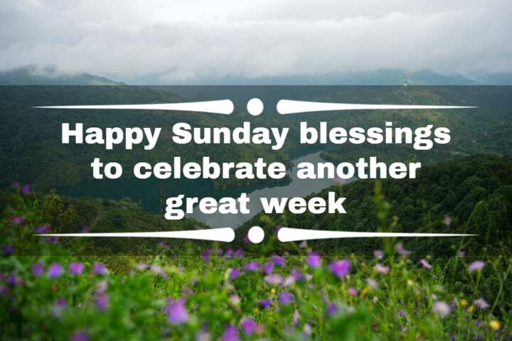 73 happy Sunday blessings to celebrate another great week - Legit.ng