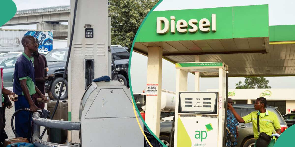 See why diesel is still selling above N1,300 despite Dangote refinery crashing product price