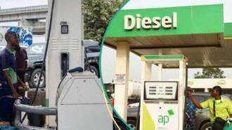 Marketers give reasons diesel will not sell for N950 despite Dangote refinery's price crash