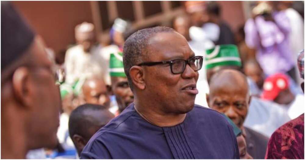 Peter Obi, Labour Party, 2023 election