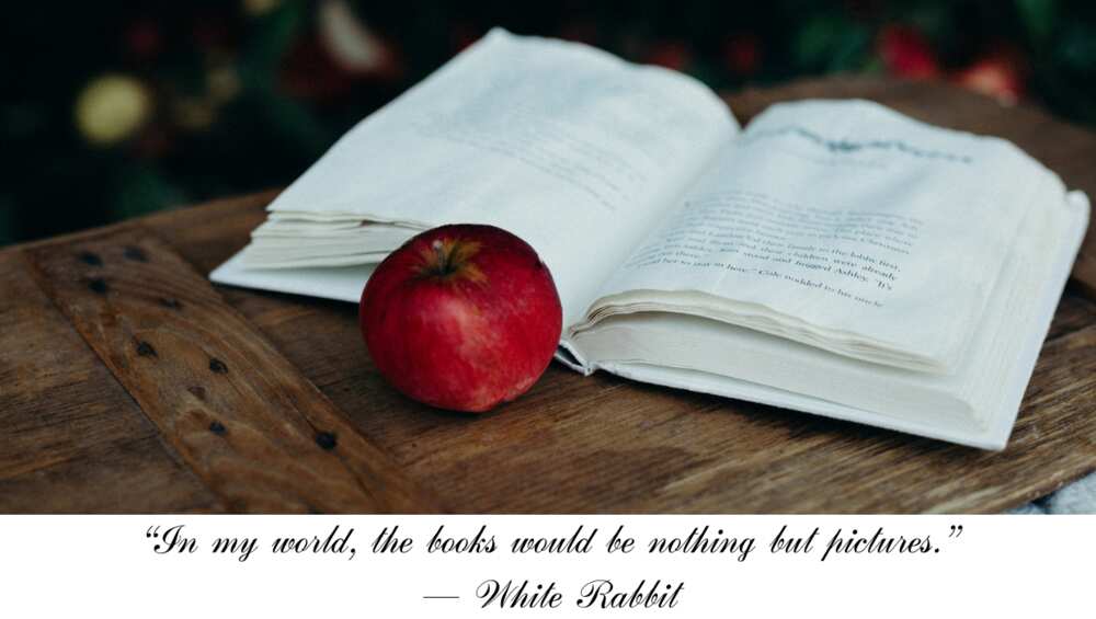 Alice in Wonderland book quotes