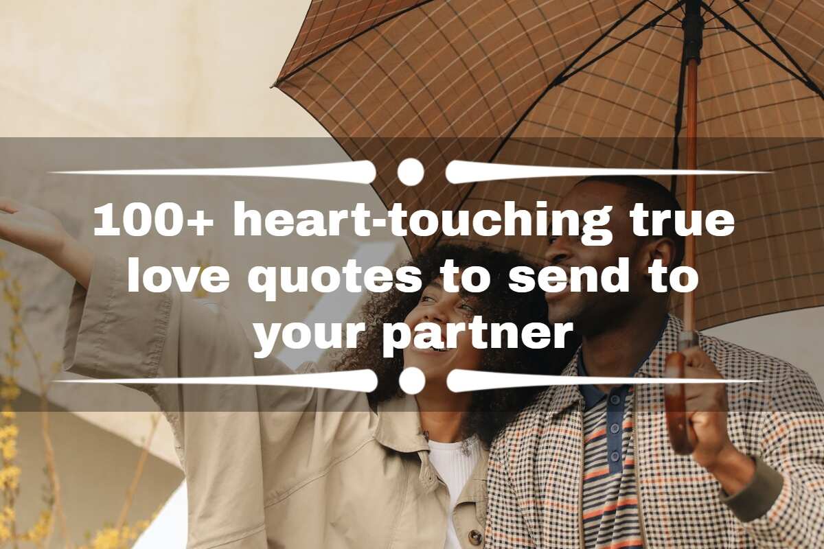 65 Heartfelt True Love Quotes