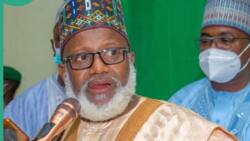 "Islam will be endangered": Influential cleric says Taraba, Nasarawa shouldn't fall to non-Muslim governors