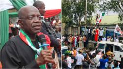 Abia 2023: More pressure on Yakubu as coalition urges INEC to declare LP's Alex Otti winner of guber polls