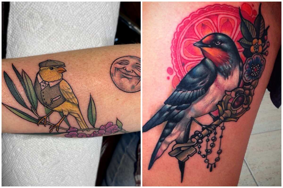 Robin Tattoo - Paul Aherne, Spilled Ink, Dublin. - Imgur