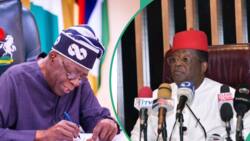 Tinubu's govt to spend N217bn for emergency road repairs, construction, Umahi shares details