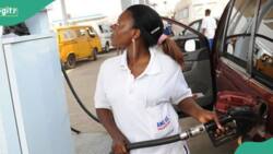 Marketers open up on petrol supply ban in border communities as Dangote Refinery moves to sell fuel