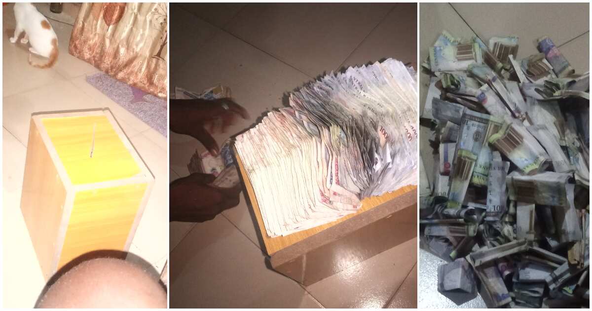 Nigerian man breaks piggy bank for fear of his money disappearing, shows off N240k he found, causes stir