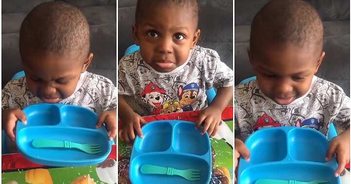 Mum pranks little son, empty plate of food