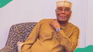 Lagos-Calabar coastal highway: Why Atiku can't accuse others of corruption, group speaks